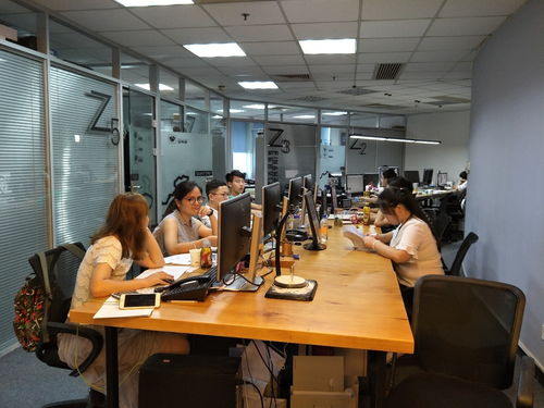 新纪元 轻量化综合设计服务解决方案——纵意设计软件开发