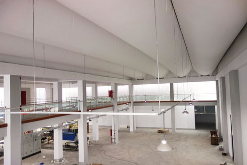 工业工程视角下的新建生产工厂系统设计与软件开发挑战